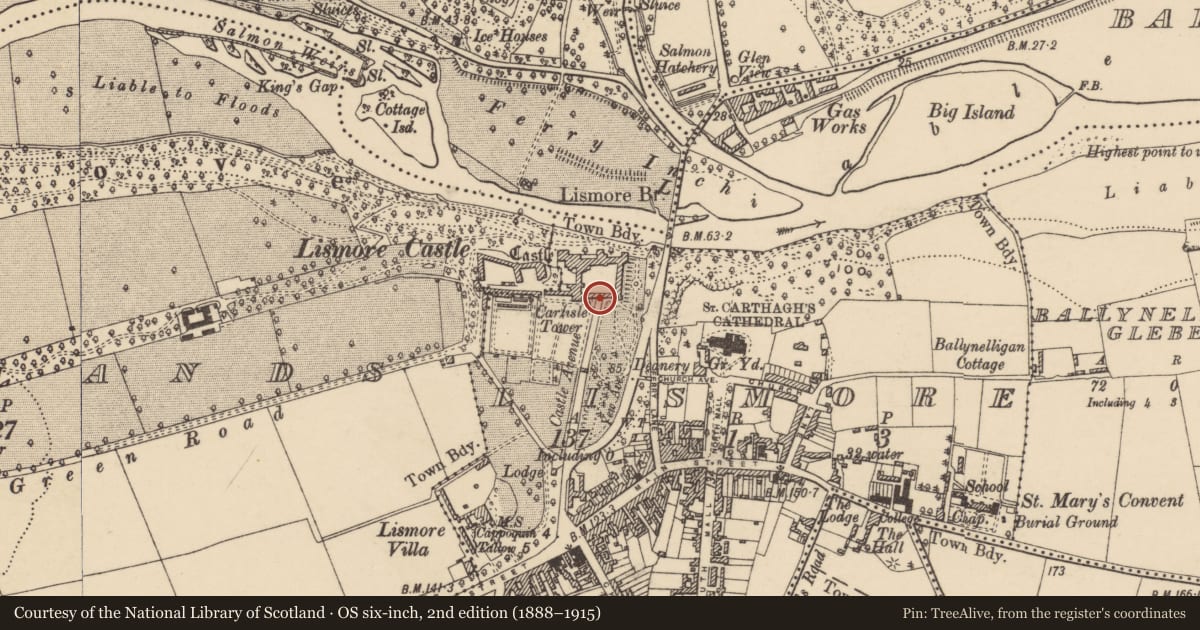 Ordnance Survey six-inch map, 2nd edition (1888–1915) covering the location of Ogham stone (present location), Lismore, County Waterford, with a pin at the register's coordinates