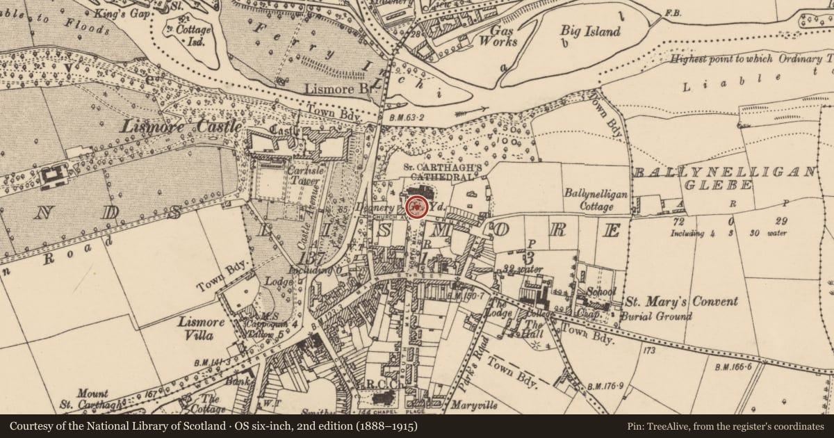 Ordnance Survey six-inch map, 2nd edition (1888–1915) covering the location of Sundial, Lismore, County Waterford, with a pin at the register's coordinates