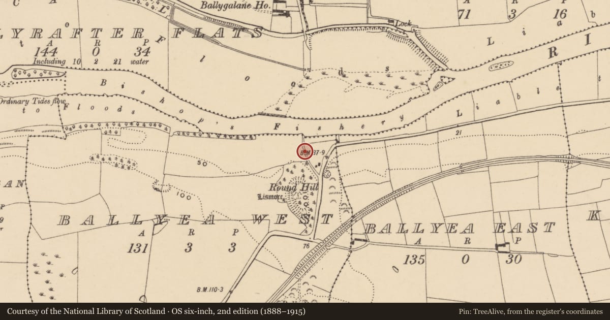Ordnance Survey six-inch map, 2nd edition (1888–1915) covering the location of Road - road/trackway, Ballyea West, County Waterford, with a pin at the register's coordinates
