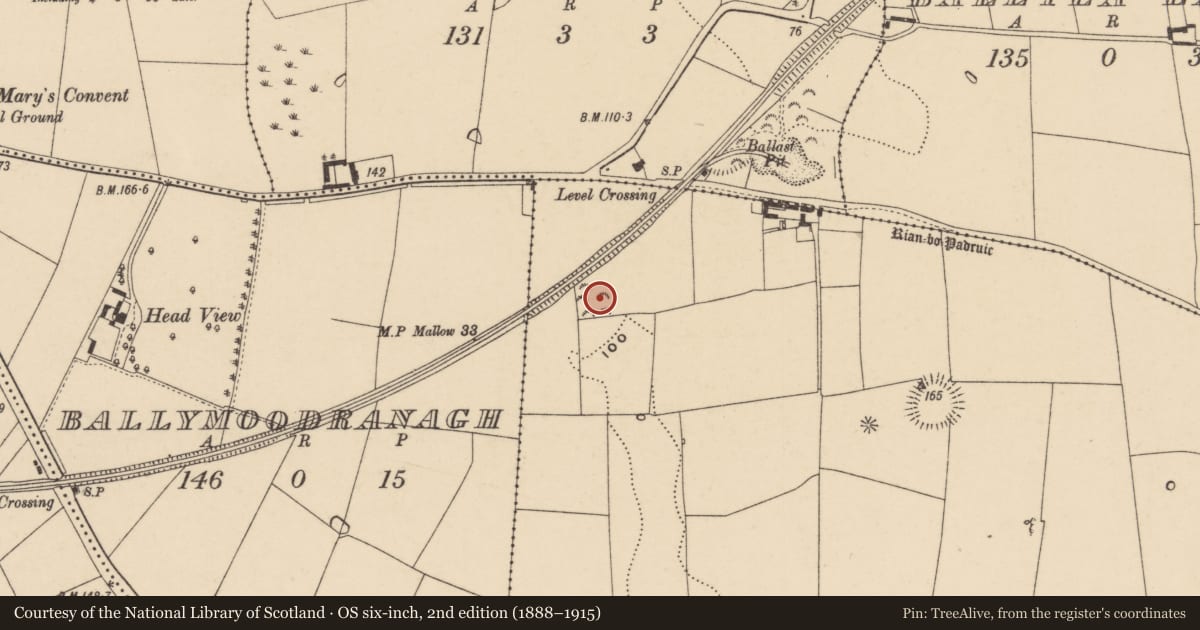 Ordnance Survey six-inch map, 2nd edition (1888–1915) covering the location of Mound, Deerpark North, County Waterford, with a pin at the register's coordinates