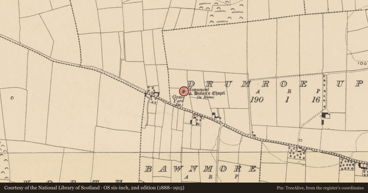 Ordnance Survey six-inch map, 2nd edition (1888–1915) covering the location of Children's burial ground, Drumroe Upper, County Waterford, with a pin at the register's coordinates