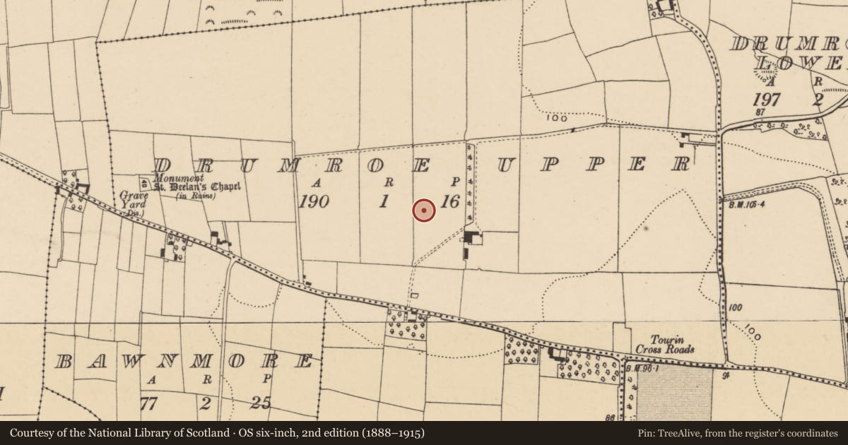 Ordnance Survey six-inch map, 2nd edition (1888–1915) covering the location of Ringfort - unclassified, Drumroe Upper, County Waterford, with a pin at the register's coordinates