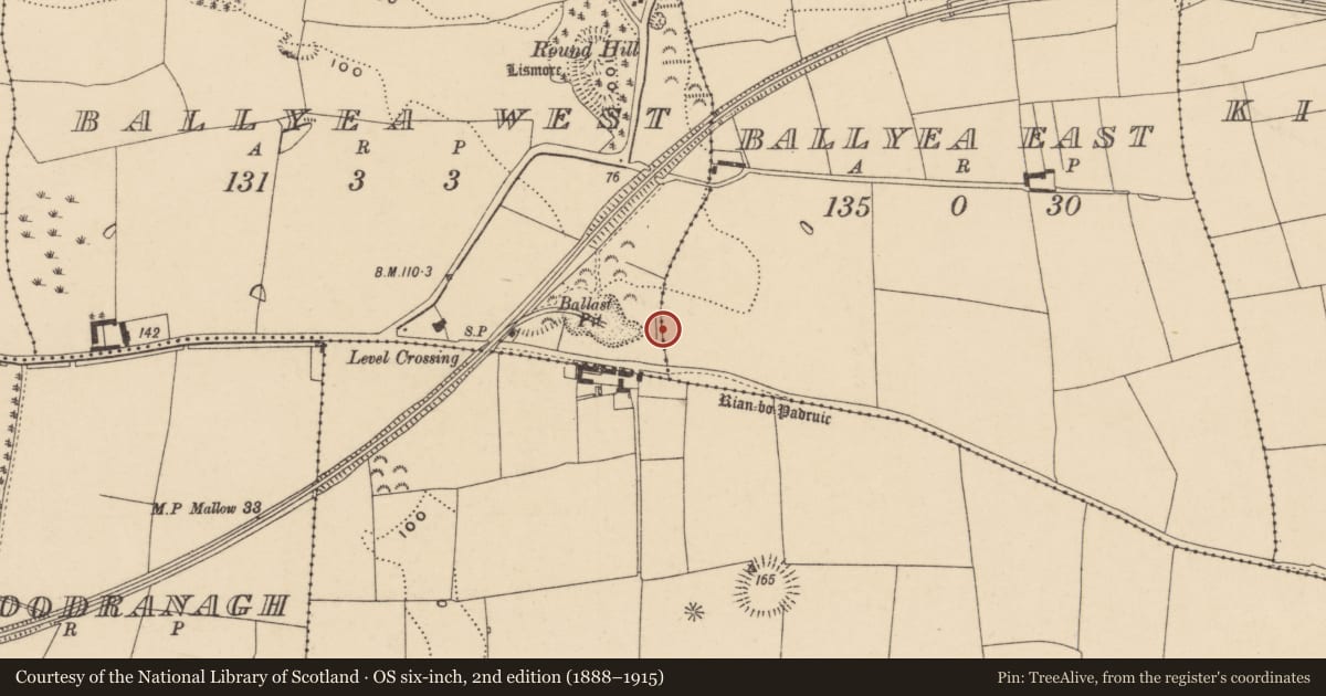 Ordnance Survey six-inch map, 2nd edition (1888–1915) covering the location of Road - road/trackway, Ballyea West, County Waterford, with a pin at the register's coordinates