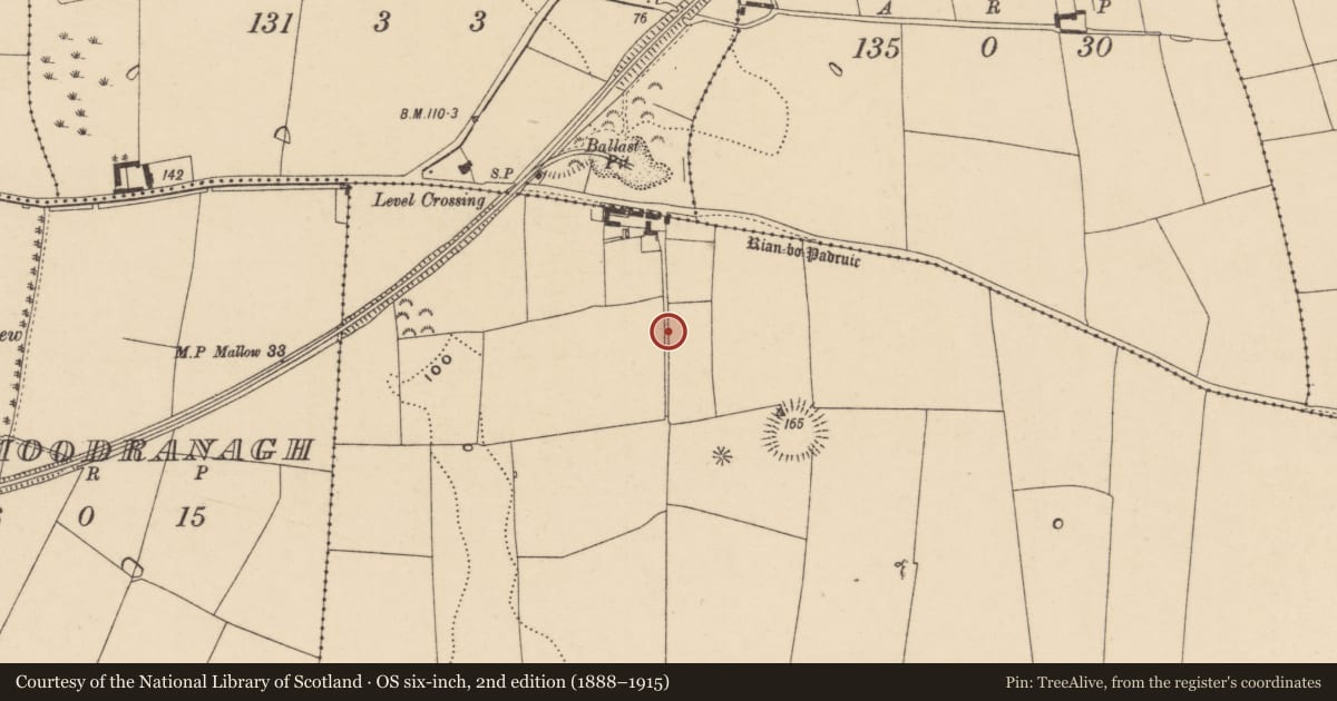 Ordnance Survey six-inch map, 2nd edition (1888–1915) covering the location of Road - road/trackway, Deerpark North, County Waterford, with a pin at the register's coordinates
