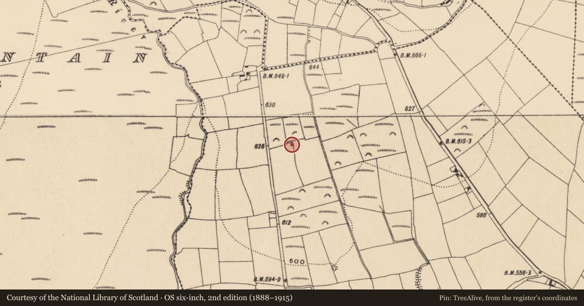 Ordnance Survey six-inch map, 2nd edition (1888–1915) covering the location of Enclosure, Lyrattin, County Waterford, with a pin at the register's coordinates