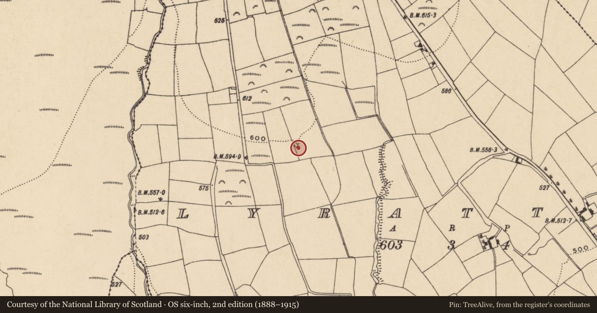 Ordnance Survey six-inch map, 2nd edition (1888–1915) covering the location of Ringfort - unclassified, Lyrattin, County Waterford, with a pin at the register's coordinates