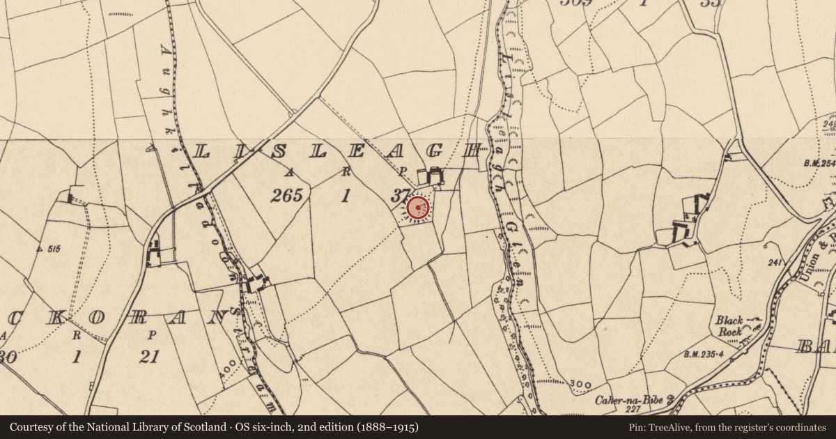 Ordnance Survey six-inch map, 2nd edition (1888–1915) covering the location of Ringfort - rath, Lisleagh, County Waterford, with a pin at the register's coordinates
