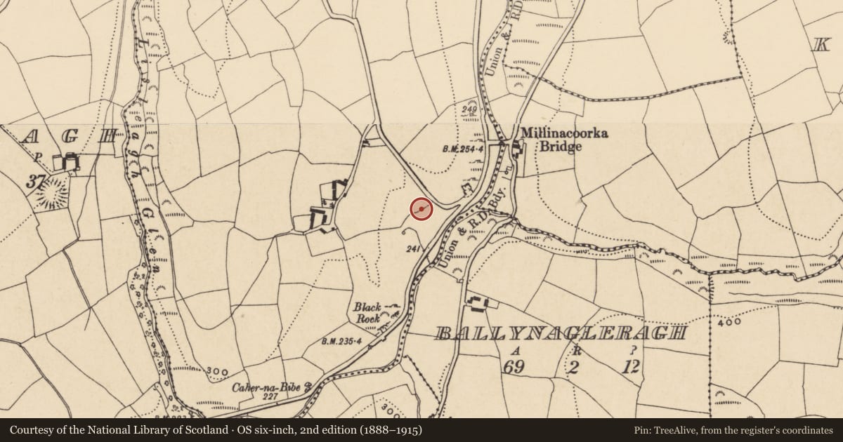 Ordnance Survey six-inch map, 2nd edition (1888–1915) covering the location of Ringfort - unclassified, Ballynaguilkee Lower, County Waterford, with a pin at the register's coordinates