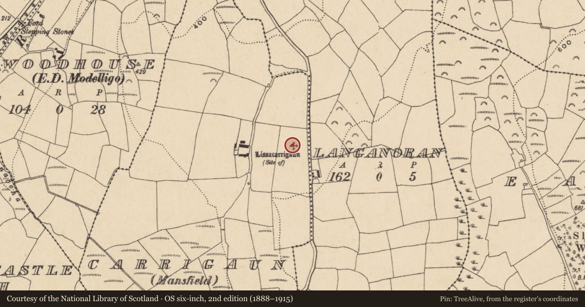 Ordnance Survey six-inch map, 2nd edition (1888–1915) covering the location of Ringfort - unclassified, Carrigaun (Mansfield), County Waterford, with a pin at the register's coordinates