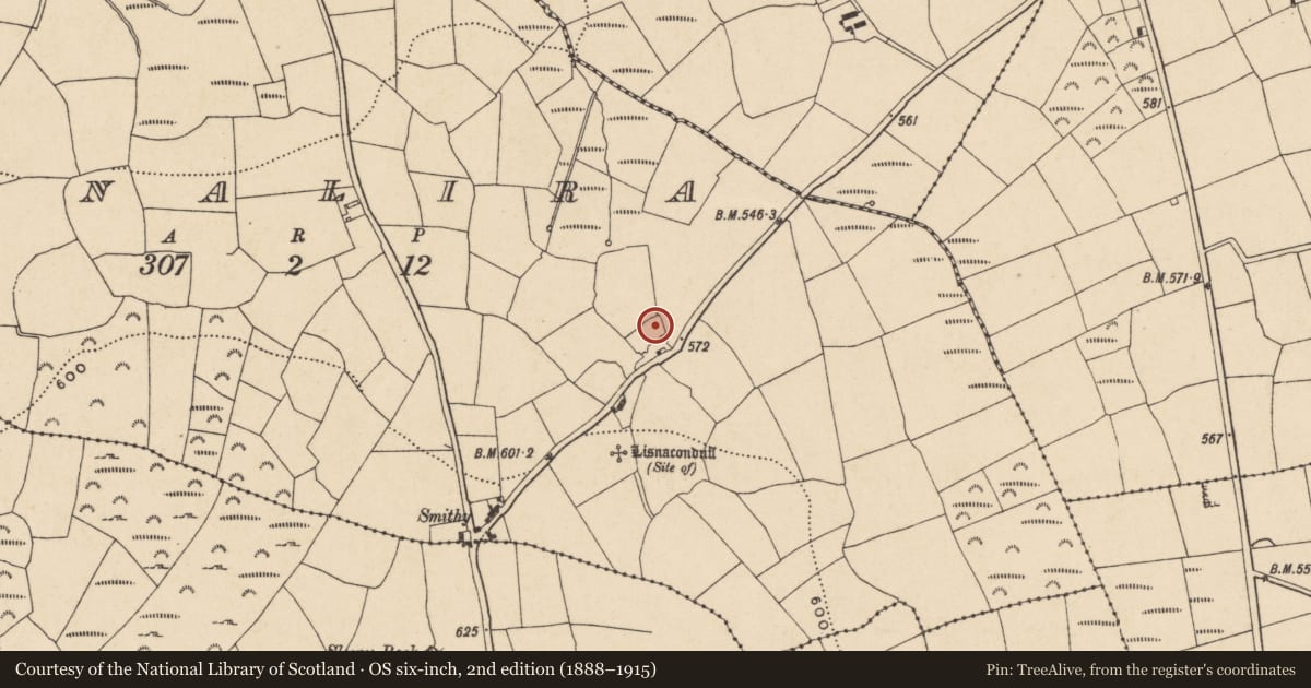 Ordnance Survey six-inch map, 2nd edition (1888–1915) covering the location of Ringfort - unclassified, Tinalira, County Waterford, with a pin at the register's coordinates