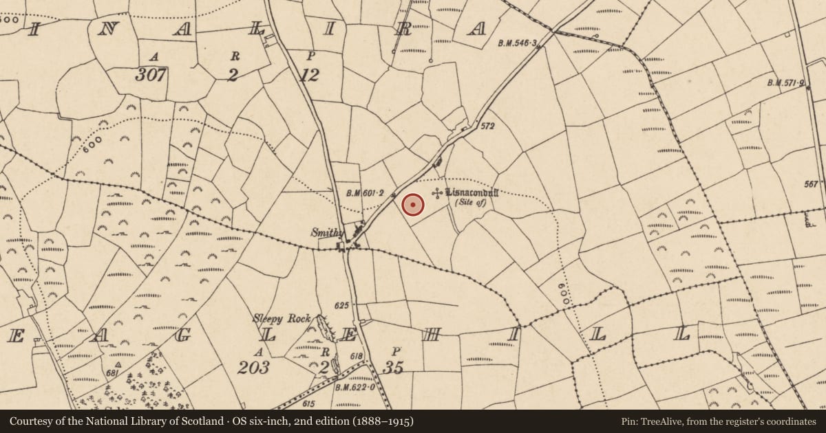 Ordnance Survey six-inch map, 2nd edition (1888–1915) covering the location of Ringfort - unclassified, Tinalira, County Waterford, with a pin at the register's coordinates