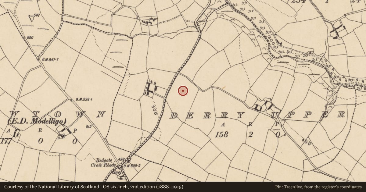 Ordnance Survey six-inch map, 2nd edition (1888–1915) covering the location of Graveyard, Derry Upper, County Waterford, with a pin at the register's coordinates