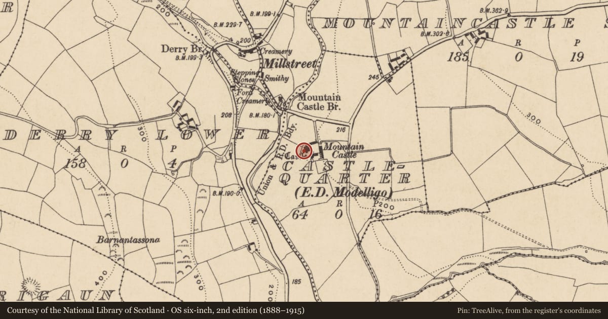 Ordnance Survey six-inch map, 2nd edition (1888–1915) covering the location of Castle - tower house, Castlequarter (Decies without Drum By., Modelligo Par.), County Waterford, with a pin at the register's coordinates