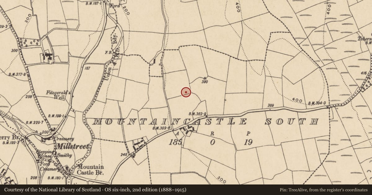 Ordnance Survey six-inch map, 2nd edition (1888–1915) covering the location of Ringfort - unclassified, Mountaincastle South, County Waterford, with a pin at the register's coordinates