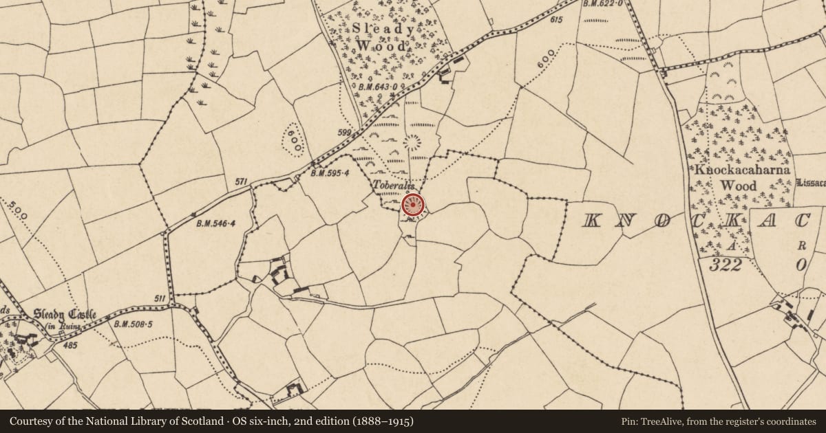 Ordnance Survey six-inch map, 2nd edition (1888–1915) covering the location of Ringfort - rath, Knockaunnaglokee, County Waterford, with a pin at the register's coordinates