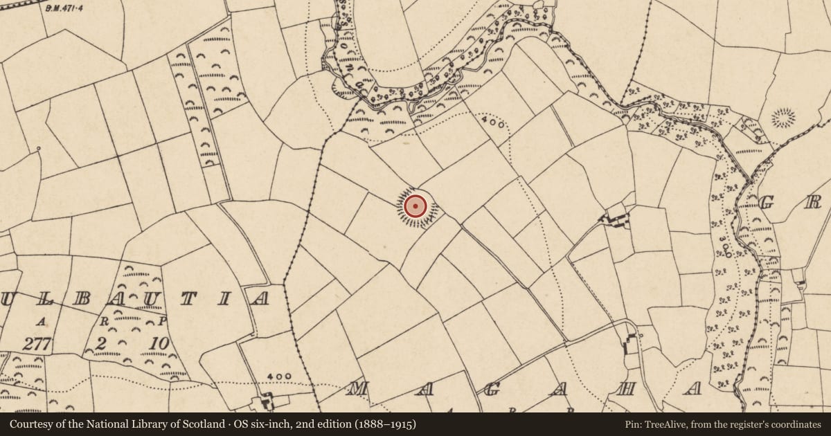 Ordnance Survey six-inch map, 2nd edition (1888–1915) covering the location of Enclosure, Magaha, County Waterford, with a pin at the register's coordinates