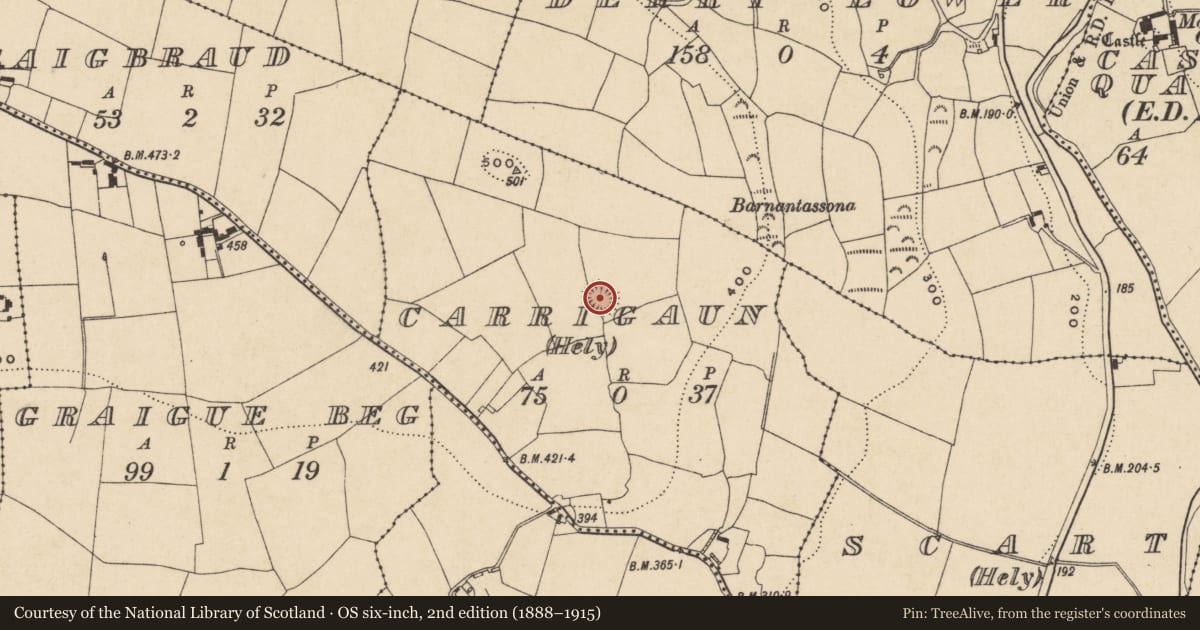 Ordnance Survey six-inch map, 2nd edition (1888–1915) covering the location of Ringfort - rath, Carrigaun (Hely), County Waterford, with a pin at the register's coordinates