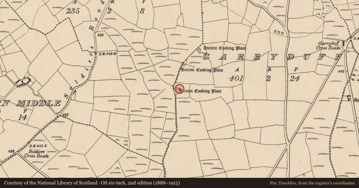 Ordnance Survey six-inch map, 2nd edition (1888–1915) covering the location of Burnt mound, Garryduff, County Waterford, with a pin at the register's coordinates