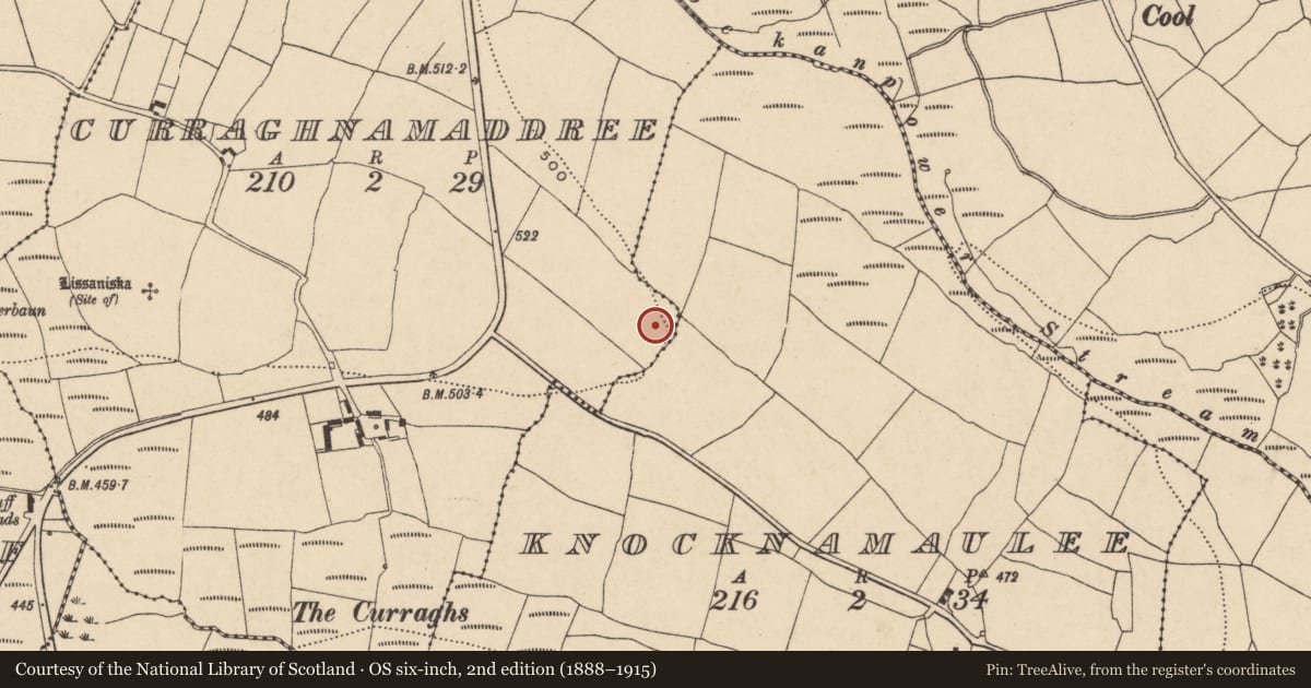 Ordnance Survey six-inch map, 2nd edition (1888–1915) covering the location of Enclosure, Curraghnamaddree, County Waterford, with a pin at the register's coordinates