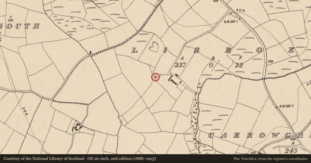 Ordnance Survey six-inch map, 2nd edition (1888–1915) covering the location of Ringfort - unclassified, Lisroe, County Waterford, with a pin at the register's coordinates
