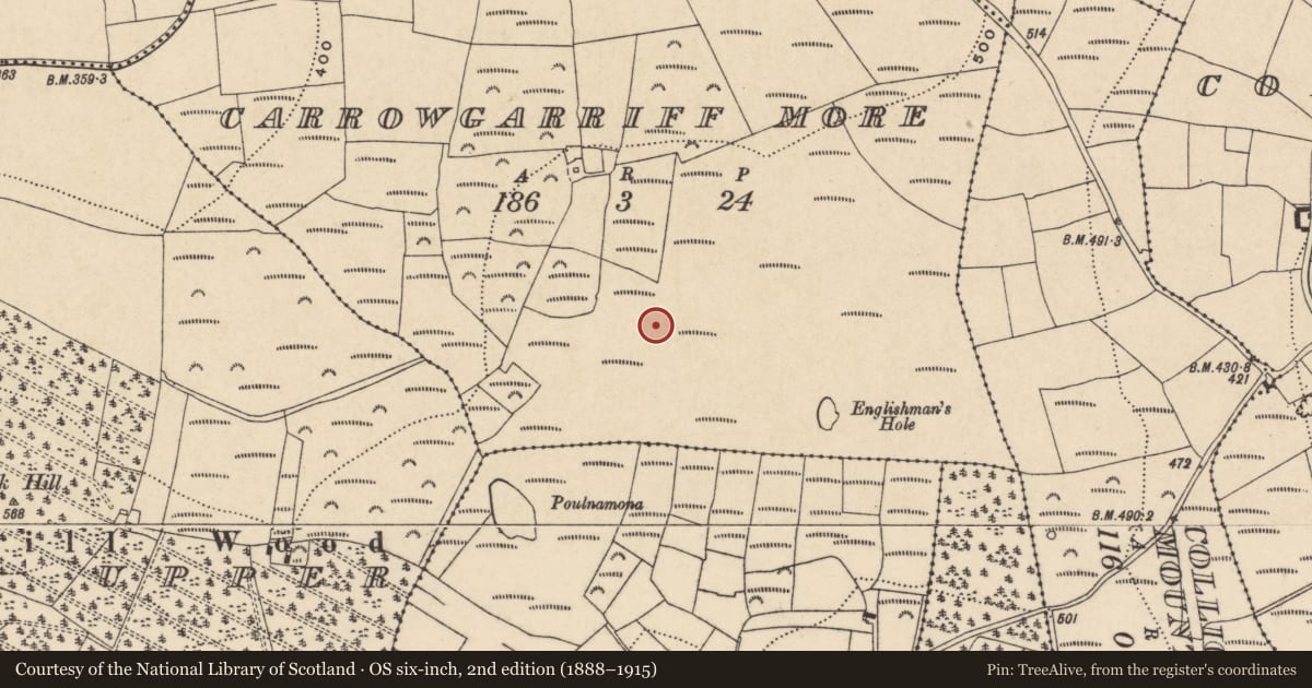 Ordnance Survey six-inch map, 2nd edition (1888–1915) covering the location of Enclosure, Carrowgarriff More, County Waterford, with a pin at the register's coordinates