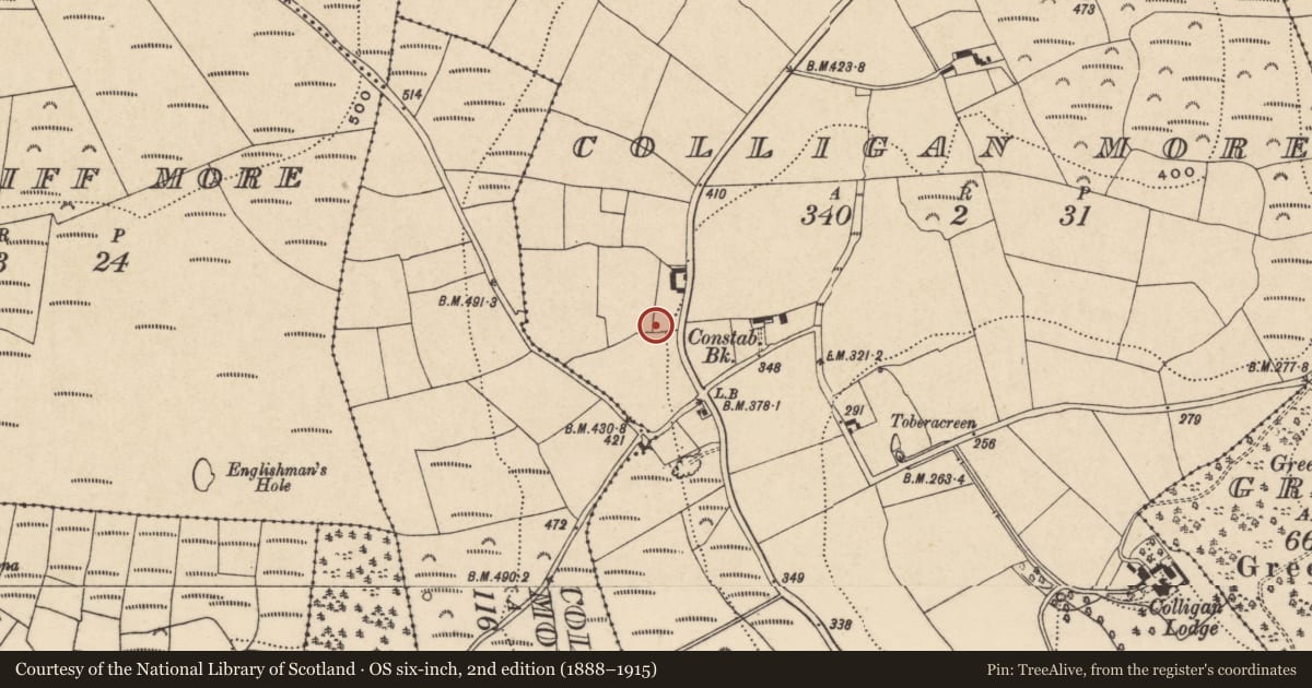 Ordnance Survey six-inch map, 2nd edition (1888–1915) covering the location of Children's burial ground, Colligan More, County Waterford, with a pin at the register's coordinates