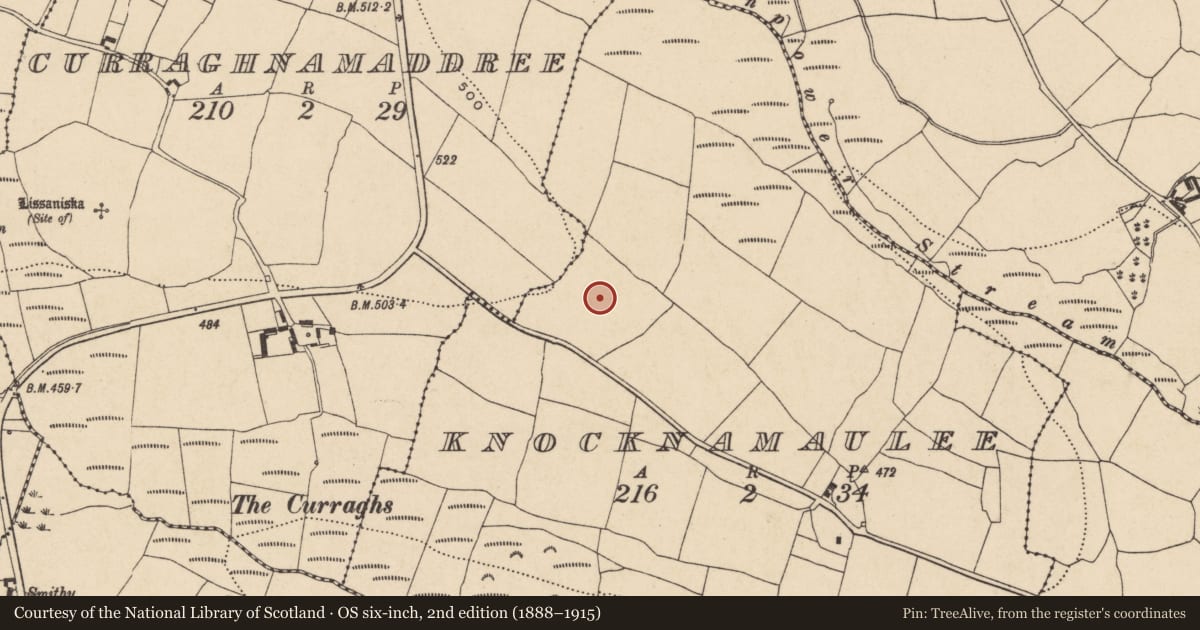 Ordnance Survey six-inch map, 2nd edition (1888–1915) covering the location of Standing stone, Knocknamaulee, County Waterford, with a pin at the register's coordinates
