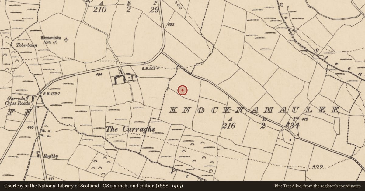 Ordnance Survey six-inch map, 2nd edition (1888–1915) covering the location of Standing stone, Knocknamaulee, County Waterford, with a pin at the register's coordinates