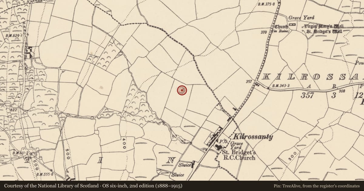 Ordnance Survey six-inch map, 2nd edition (1888–1915) covering the location of Ringfort - rath, Boolattin, County Waterford, with a pin at the register's coordinates