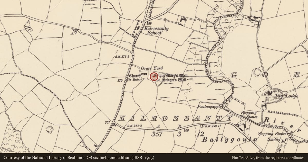 Ordnance Survey six-inch map, 2nd edition (1888–1915) covering the location of Ritual site - holy well, Kilrossanty, County Waterford, with a pin at the register's coordinates