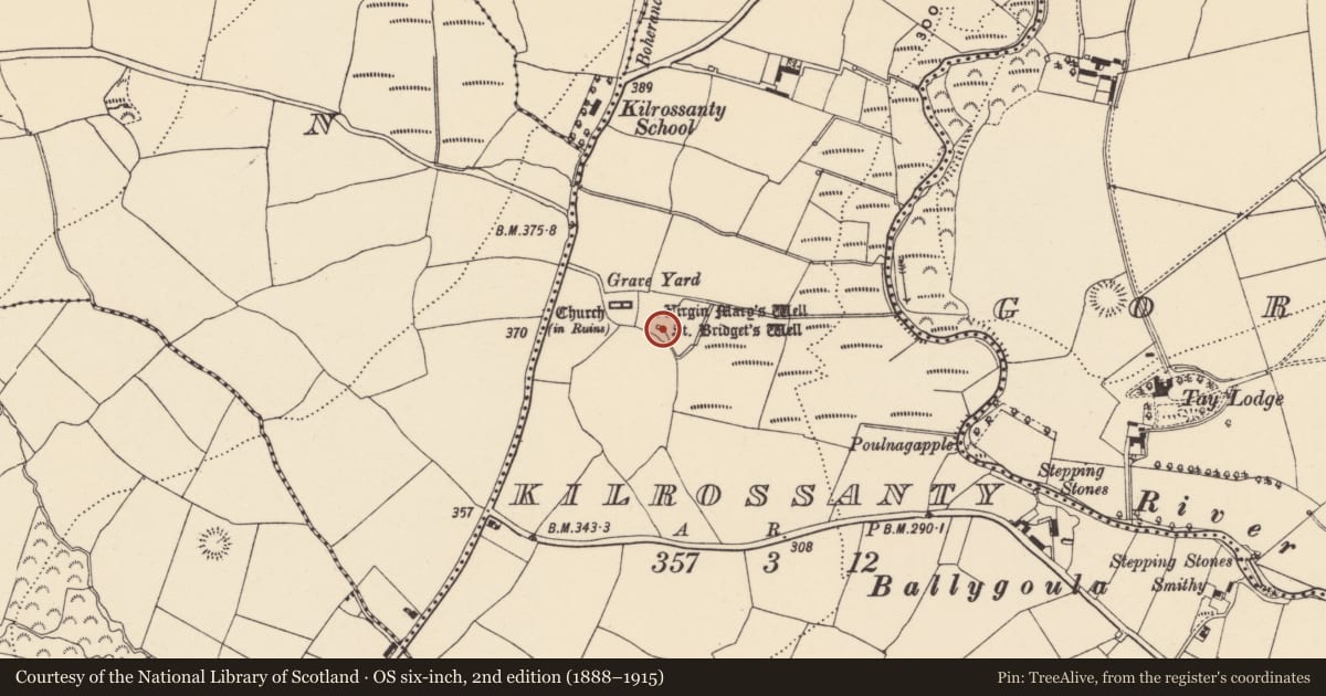 Ordnance Survey six-inch map, 2nd edition (1888–1915) covering the location of Ritual site - holy well, Kilrossanty, County Waterford, with a pin at the register's coordinates
