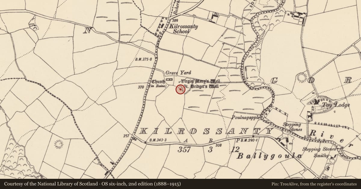 Ordnance Survey six-inch map, 2nd edition (1888–1915) covering the location of Ritual site - holy well, Kilrossanty, County Waterford, with a pin at the register's coordinates