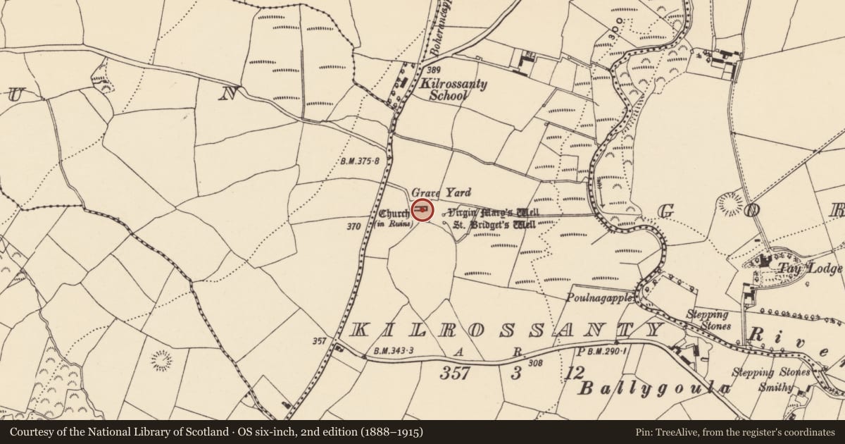 Ordnance Survey six-inch map, 2nd edition (1888–1915) covering the location of Graveslab, Kilrossanty, County Waterford, with a pin at the register's coordinates