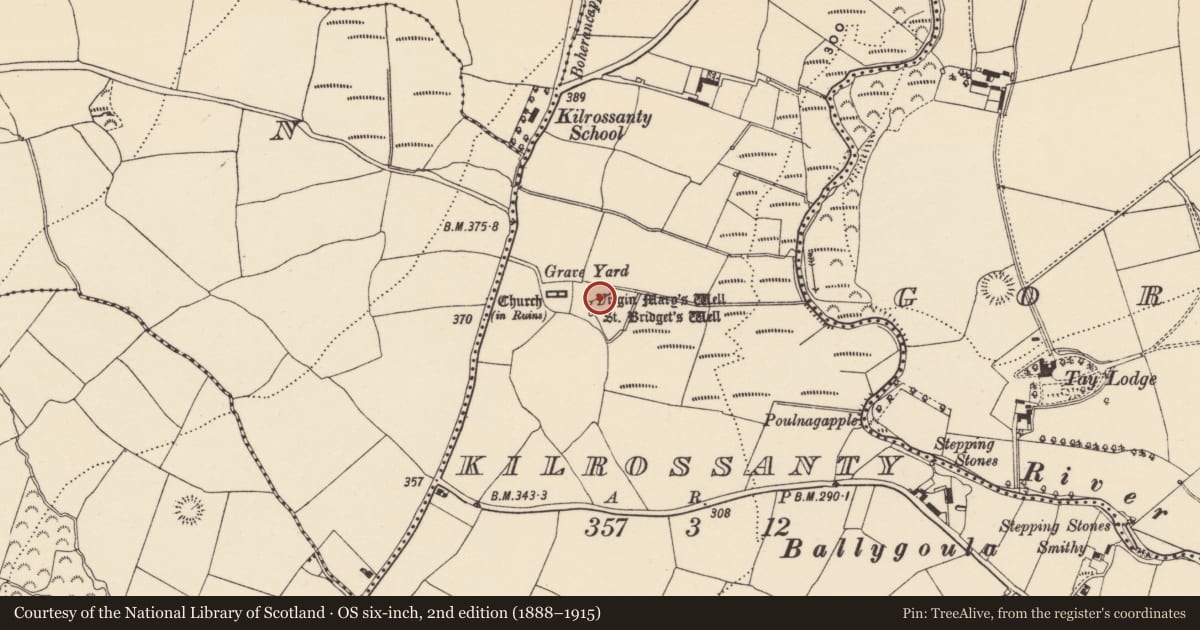 Ordnance Survey six-inch map, 2nd edition (1888–1915) covering the location of Road - hollow-way, Kilrossanty, County Waterford, with a pin at the register's coordinates