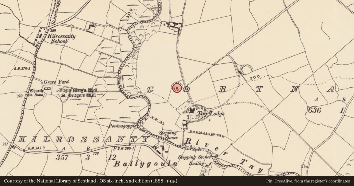 Ordnance Survey six-inch map, 2nd edition (1888–1915) covering the location of Ringfort - rath, Gortnalaght, County Waterford, with a pin at the register's coordinates