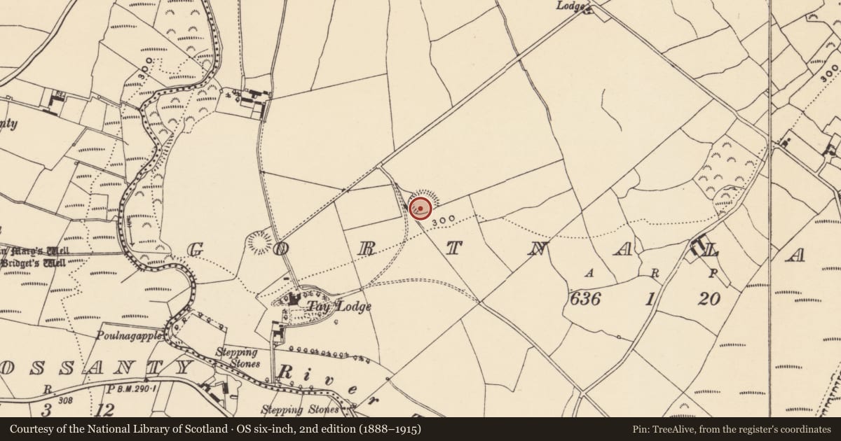 Ordnance Survey six-inch map, 2nd edition (1888–1915) covering the location of Ringfort - rath, Gortnalaght, County Waterford, with a pin at the register's coordinates