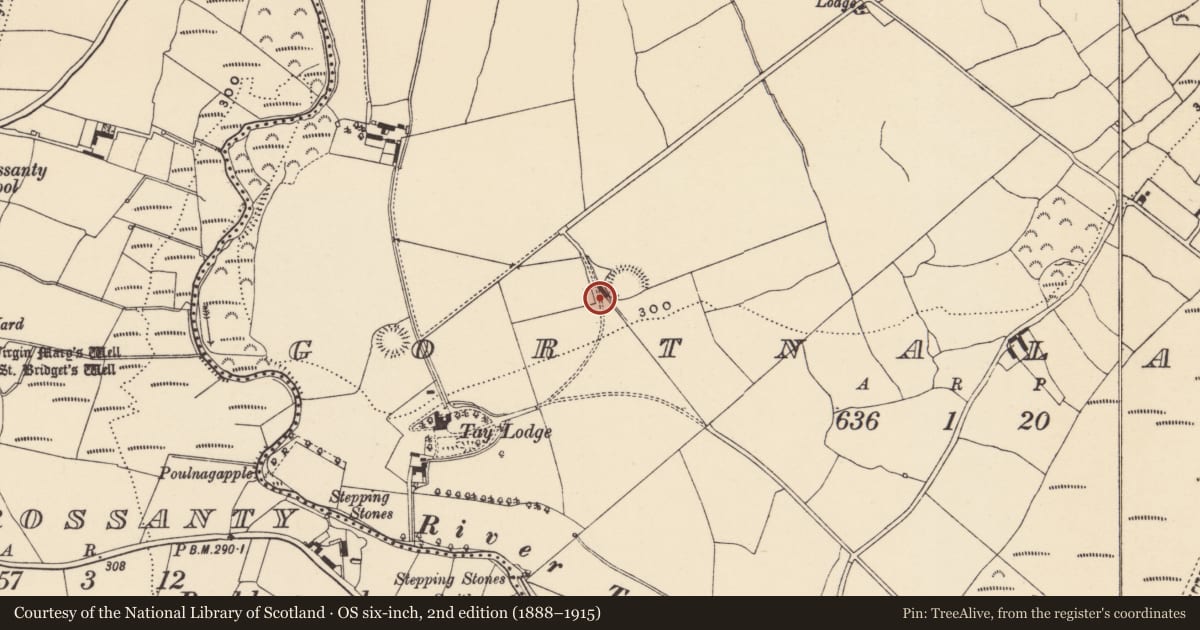 Ordnance Survey six-inch map, 2nd edition (1888–1915) covering the location of Bullaun stone, Gortnalaght, County Waterford, with a pin at the register's coordinates