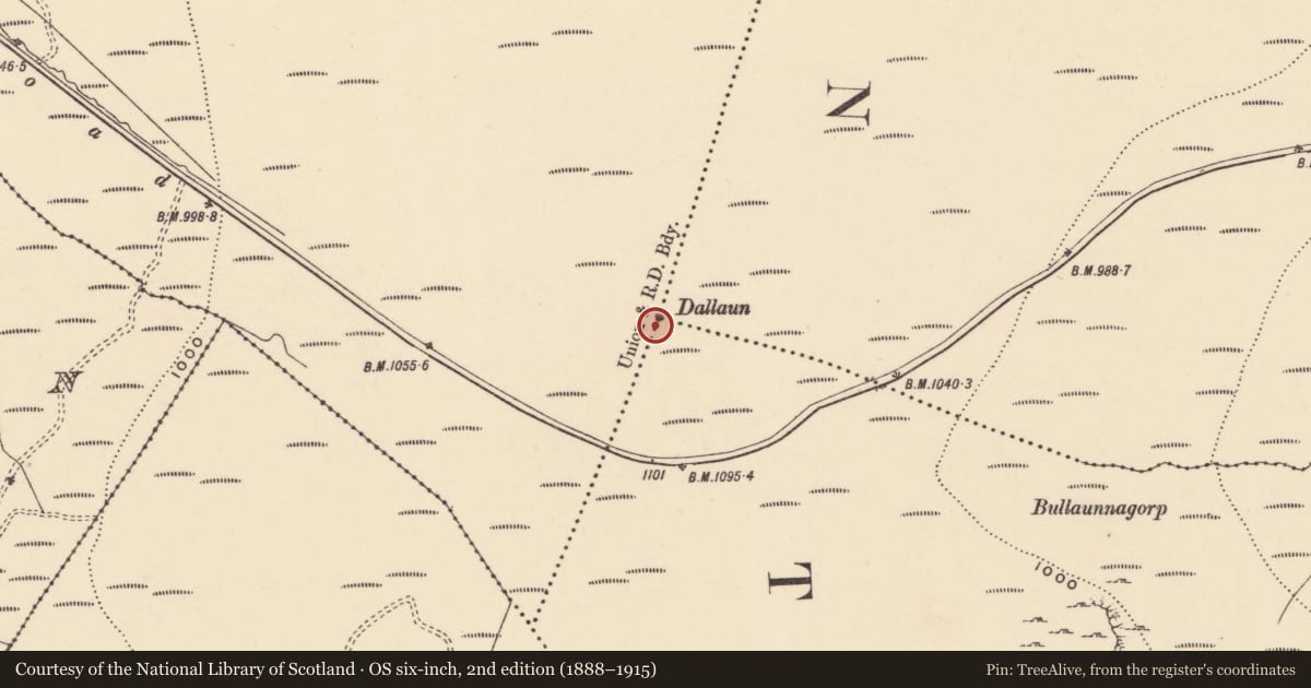 Ordnance Survey six-inch map, 2nd edition (1888–1915) covering the location of Standing stone, County Waterford, with a pin at the register's coordinates