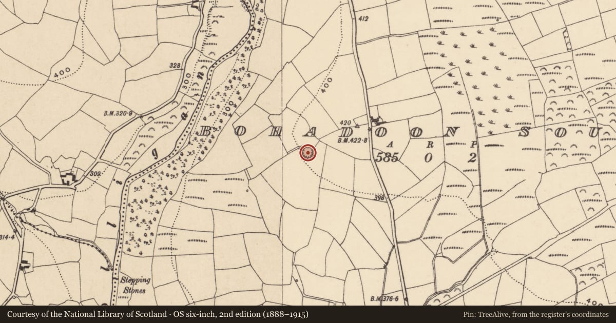 Ordnance Survey six-inch map, 2nd edition (1888–1915) covering the location of Ringfort - rath, Bohadoon South, County Waterford, with a pin at the register's coordinates