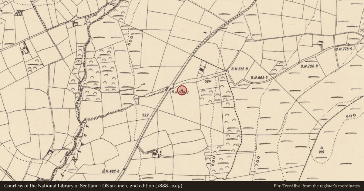 Ordnance Survey six-inch map, 2nd edition (1888–1915) covering the location of Enclosure, Coolnasmear Upper, County Waterford, with a pin at the register's coordinates