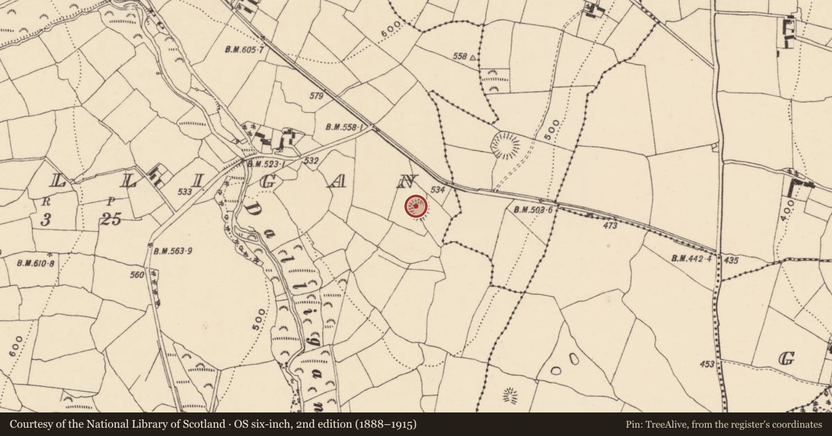 Ordnance Survey six-inch map, 2nd edition (1888–1915) covering the location of Ringfort - rath, Glendalligan, County Waterford, with a pin at the register's coordinates