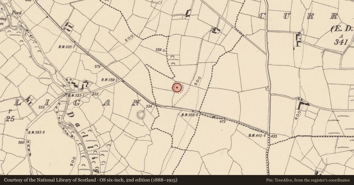 Ordnance Survey six-inch map, 2nd edition (1888–1915) covering the location of Ringfort - rath, Ballintlea, County Waterford, with a pin at the register's coordinates