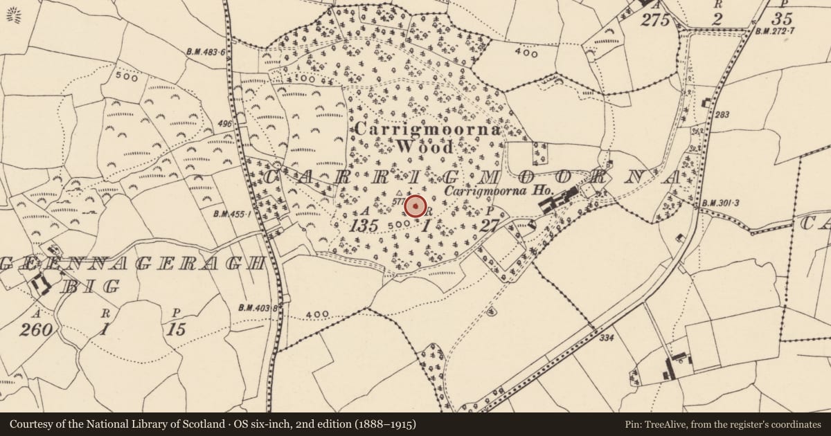 Ordnance Survey six-inch map, 2nd edition (1888–1915) covering the location of Cliff-edge fort, Carrigmoorna, County Waterford, with a pin at the register's coordinates