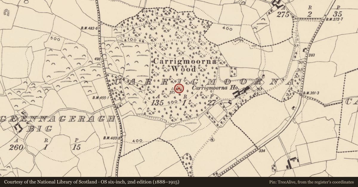 Ordnance Survey six-inch map, 2nd edition (1888–1915) covering the location of Standing stone, Carrigmoorna, County Waterford, with a pin at the register's coordinates