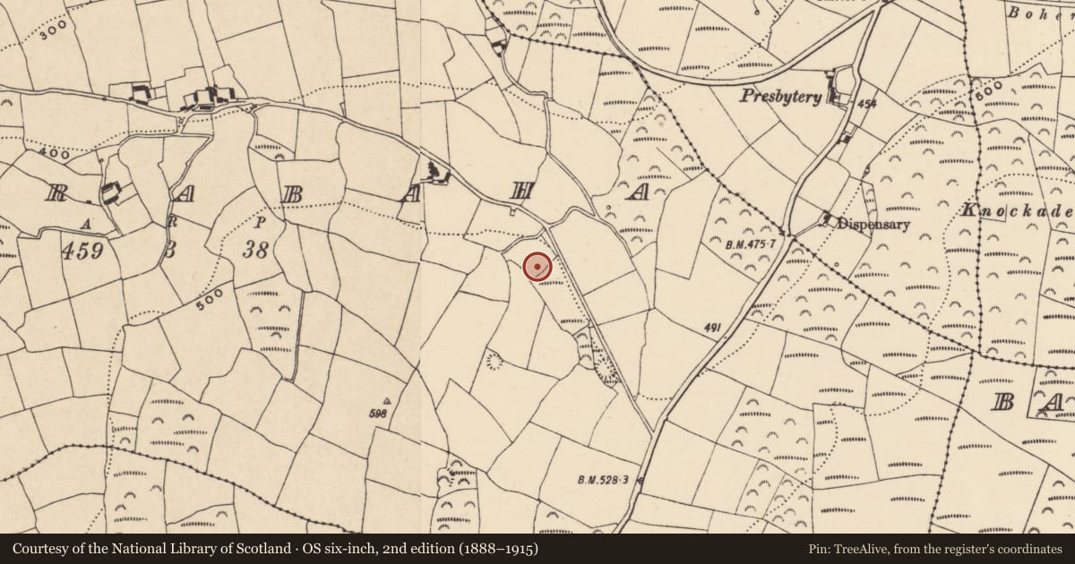 Ordnance Survey six-inch map, 2nd edition (1888–1915) covering the location of Ringfort - unclassified, Currabaha, County Waterford, with a pin at the register's coordinates