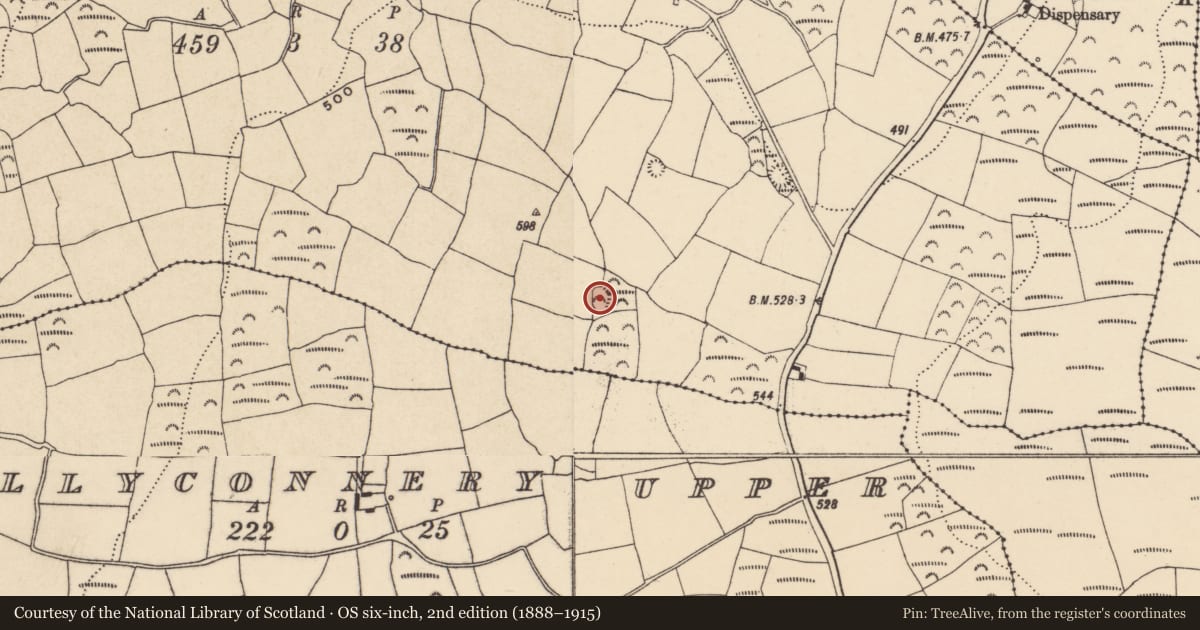 Ordnance Survey six-inch map, 2nd edition (1888–1915) covering the location of Ringfort - rath, Currabaha, County Waterford, with a pin at the register's coordinates