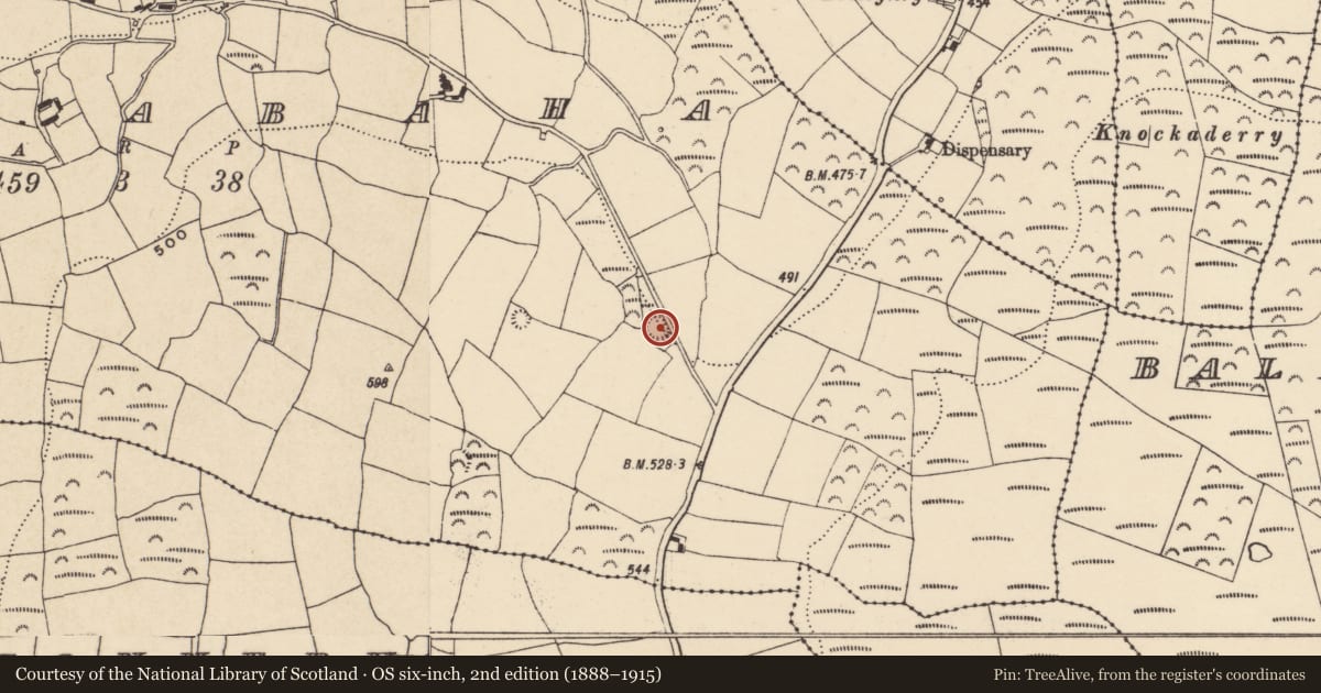 Ordnance Survey six-inch map, 2nd edition (1888–1915) covering the location of Ringfort - rath, Currabaha, County Waterford, with a pin at the register's coordinates