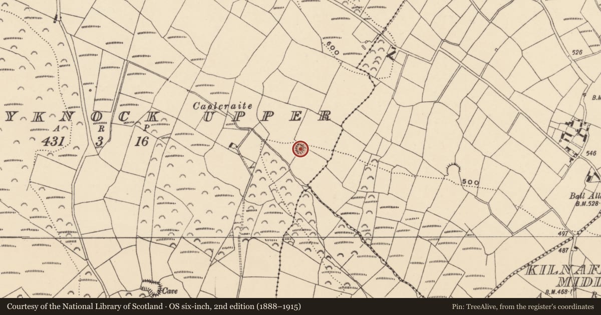 Ordnance Survey six-inch map, 2nd edition (1888–1915) covering the location of Ringfort - unclassified, Ballyknock Upper, County Waterford, with a pin at the register's coordinates