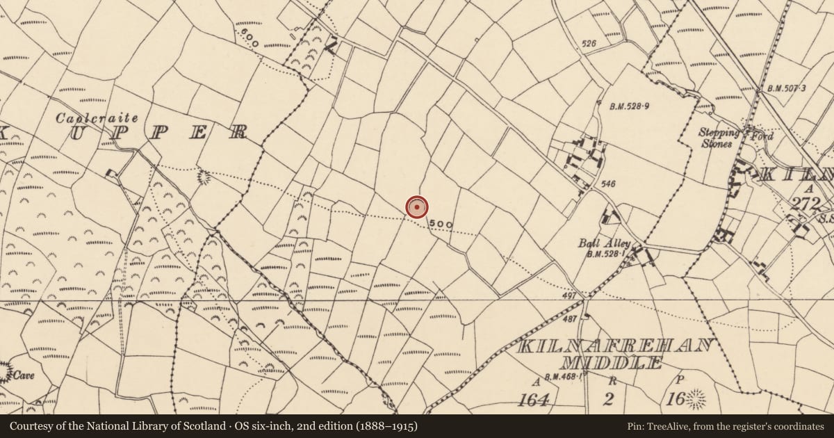 Ordnance Survey six-inch map, 2nd edition (1888–1915) covering the location of Enclosure, Kilnafrehan West, County Waterford, with a pin at the register's coordinates