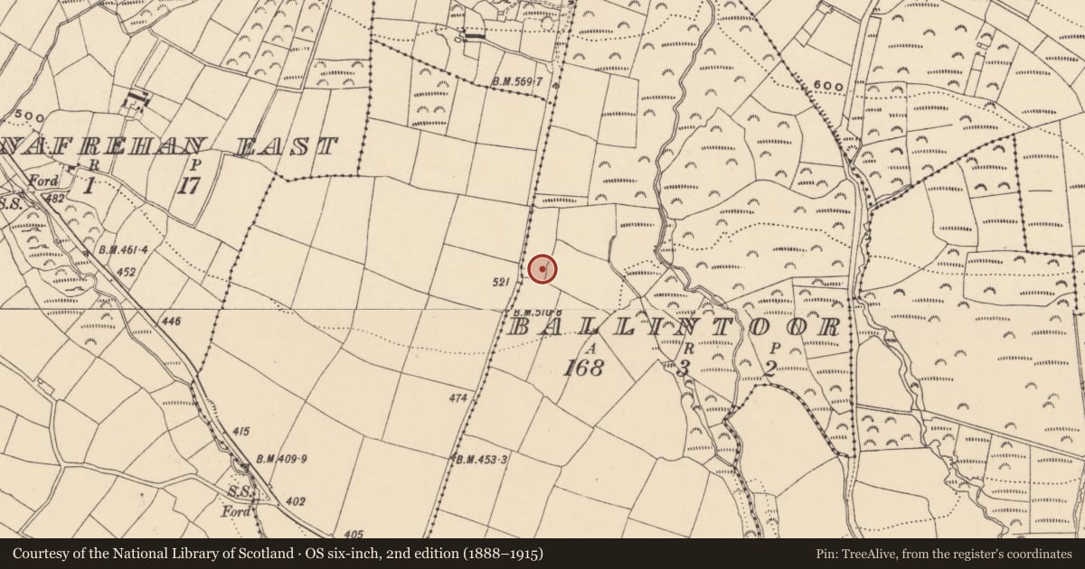 Ordnance Survey six-inch map, 2nd edition (1888–1915) covering the location of Ringfort - rath, Ballintoor, County Waterford, with a pin at the register's coordinates